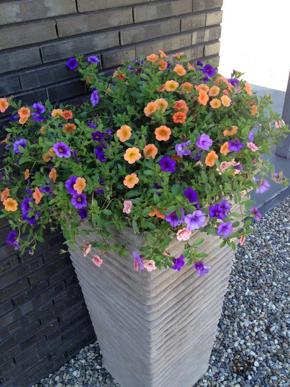 Het Klavertje Holiday home *