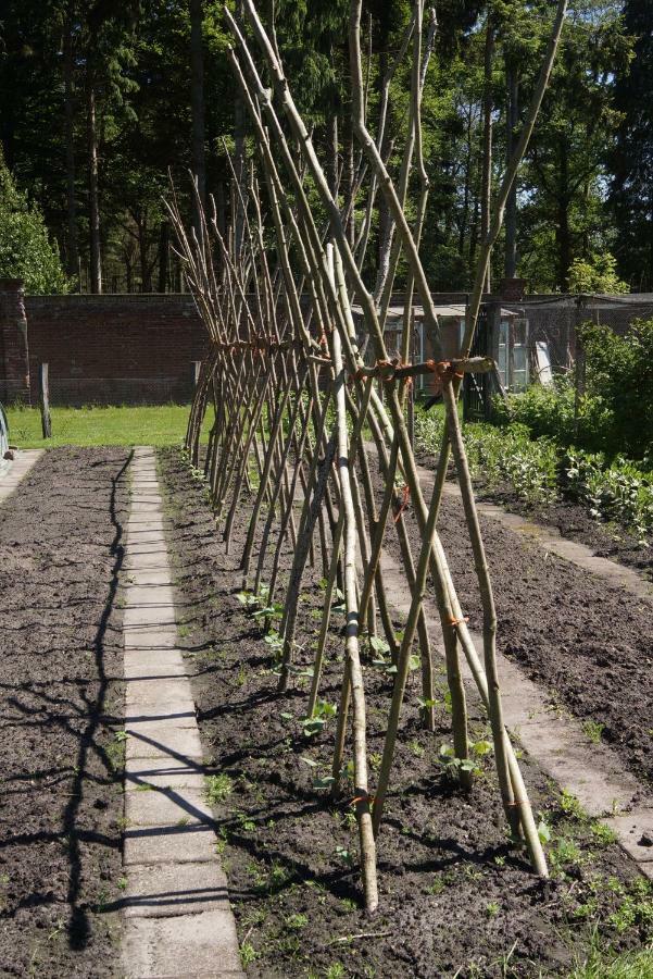 Het Klavertje Holiday home Laren (Gelderland)